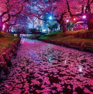 Meet your Posher, Pøøh